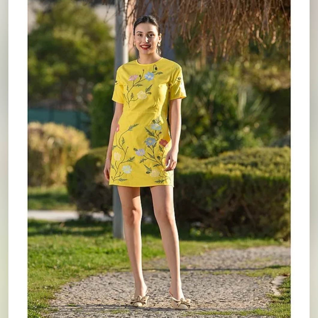 Fanm Monjoe Floral Embroidered Crew Neck Short Sleeve Mini Dress